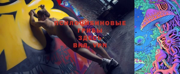 первитин Богданович