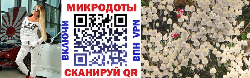 Псилоцибиновые грибы MAGIC MUSHROOMS  Октябрьский 